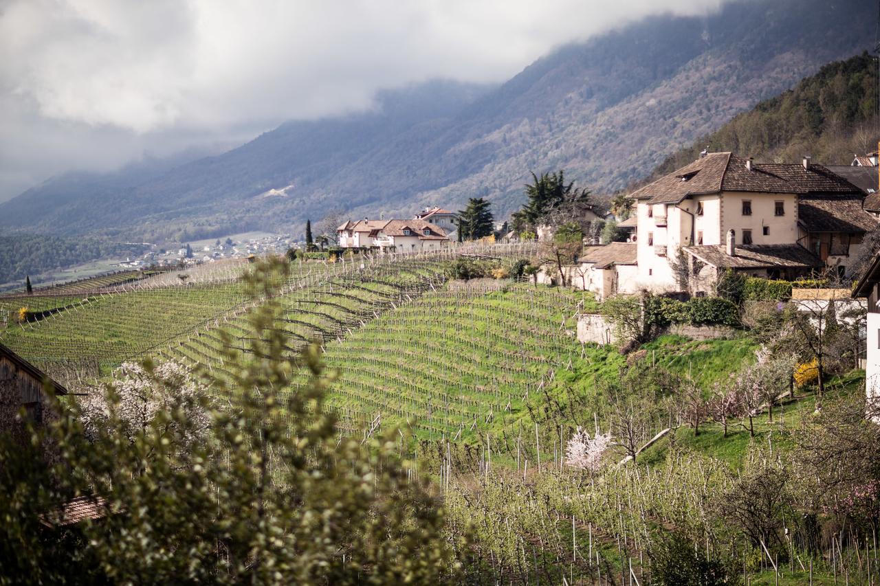 Hotel Masatsch Caldaro Exterior photo