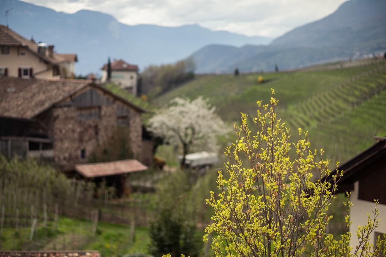 Hotel Masatsch Caldaro Exterior photo